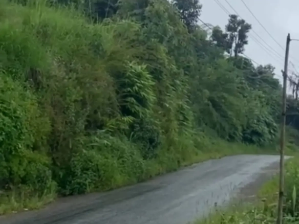 Ropani Land Sale in Pokhara Nagdada