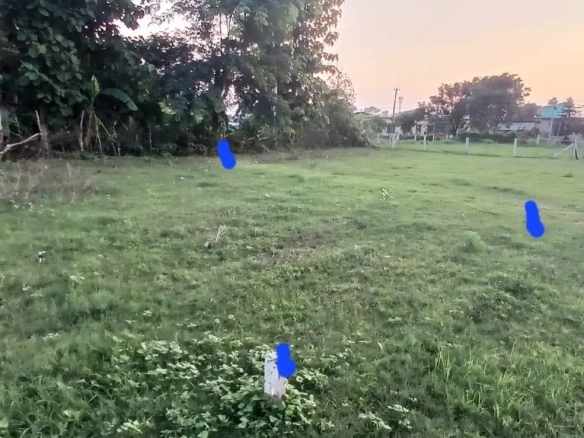 Land for Sale in Mahendranagar BhiNaPa 6 Bangaun