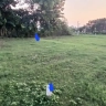 Land for Sale in Mahendranagar BhiNaPa 6 Bangaun