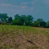 Agricultural Land for Sale in Chitwan Bharatpur 15