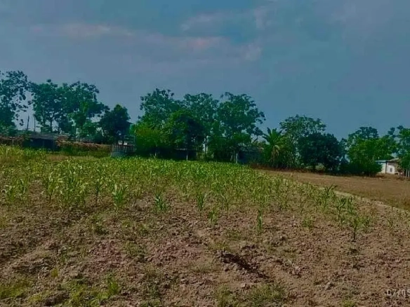 Agricultural Land for Sale in Chitwan Bharatpur 15