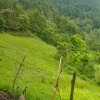 Agricultural Land for Sale in Shitaganga Municipality Argakhanchi