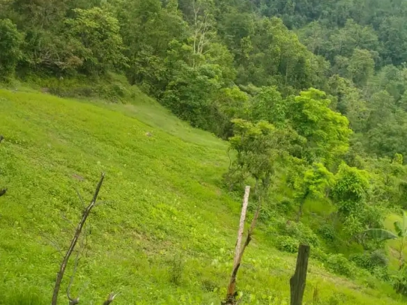 Agricultural Land for Sale in Shitaganga Municipality Argakhanchi
