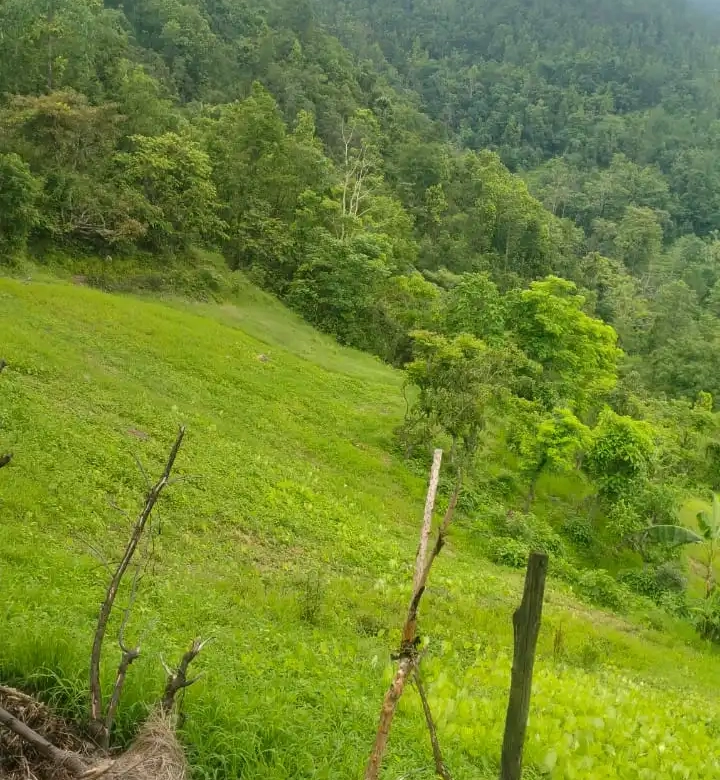 Agricultural Land for Sale in Shitaganga Municipality Argakhanchi