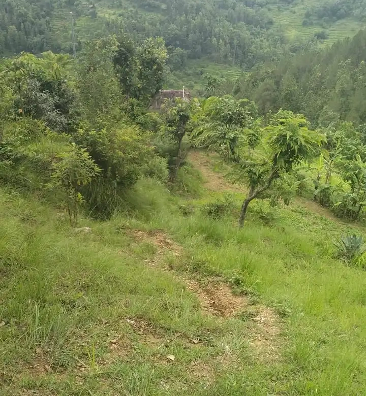 Agricultural Land for Sale in Shitaganga Municipality Argakhanchi