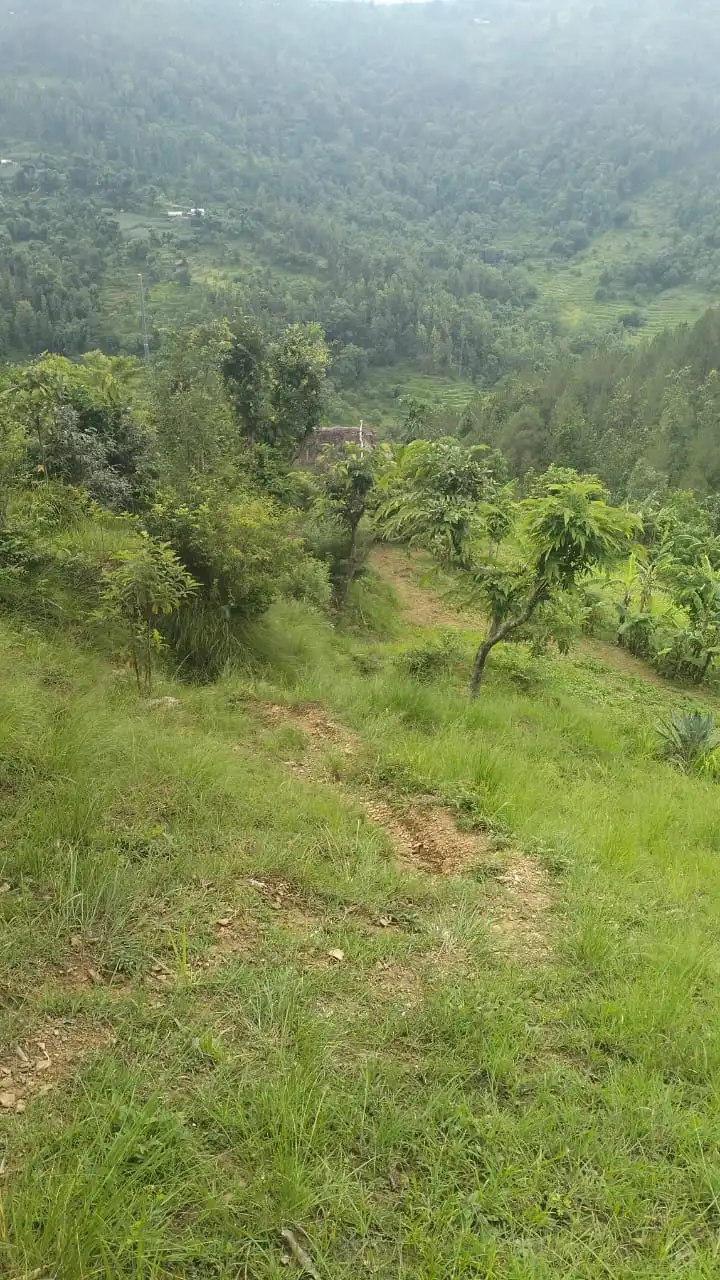 Agricultural Land for Sale in Shitaganga Municipality Argakhanchi
