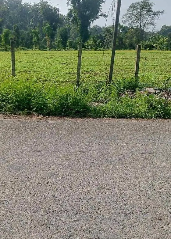 Land for Sale in Chitwan near Thimura Resort