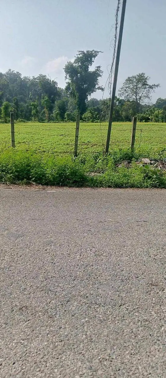 Land for Sale in Chitwan near Thimura Resort