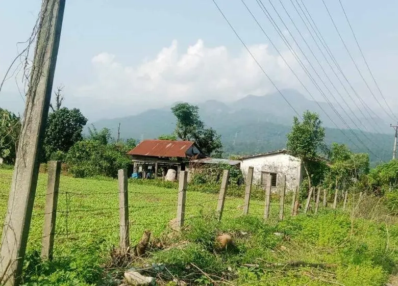 Land for Sale in Chitwan near Thimura Resort