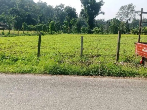 Land for Sale in Chitwan near Thimura Resort
