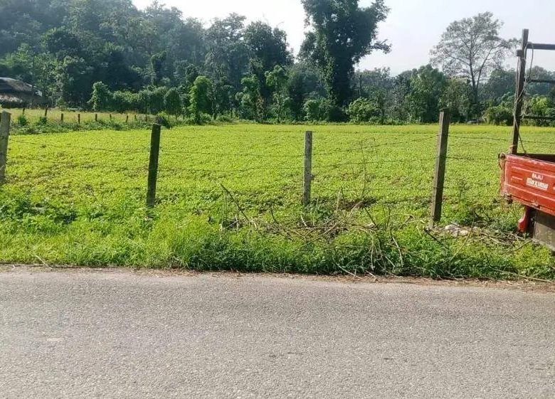 Land for Sale in Chitwan near Thimura Resort