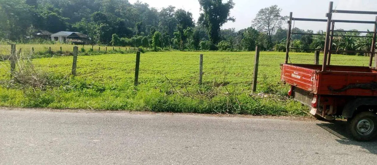 Land for Sale in Chitwan near Thimura Resort