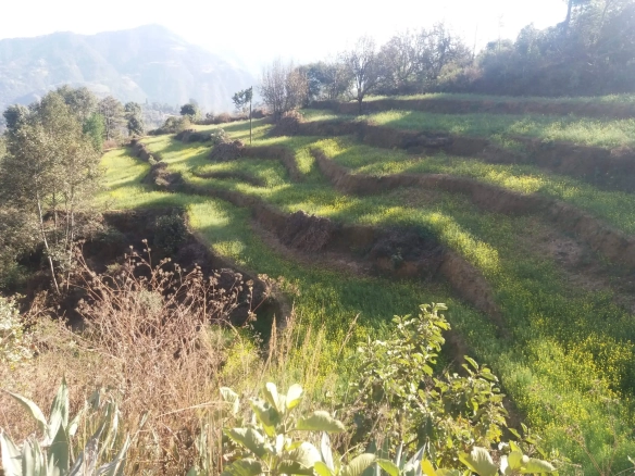 Land for sale near Chhaimale Resort Kathmandu