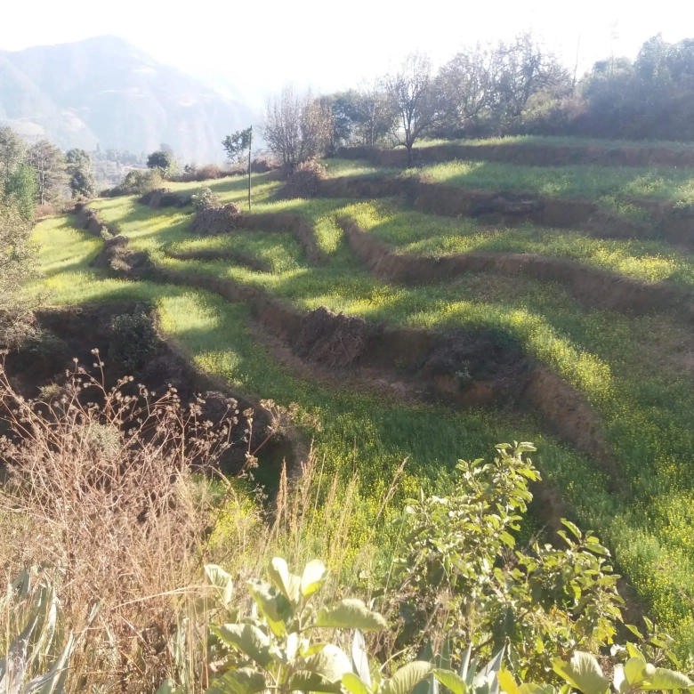 Land for sale near Chhaimale Resort Kathmandu