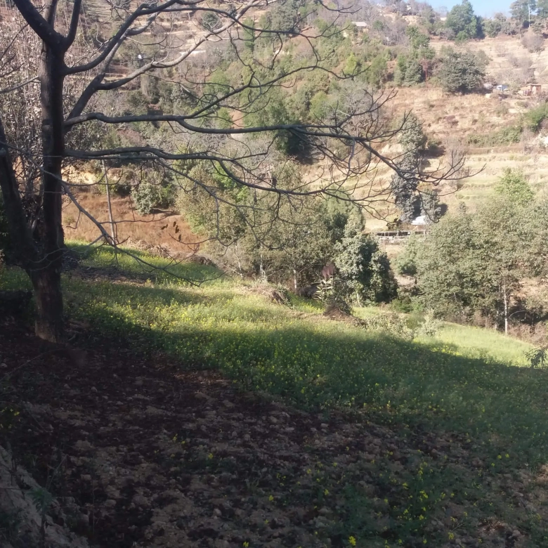 Land for sale near Chhaimale Resort Kathmandu