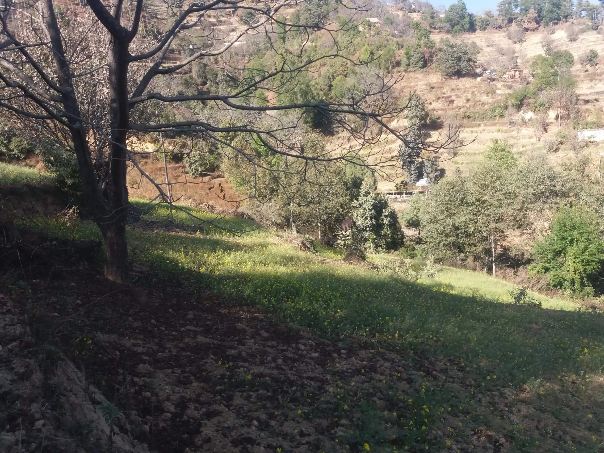 Land for sale near Chhaimale Resort Kathmandu