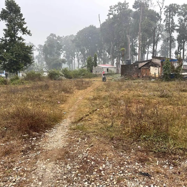 Land for Sale in Ramnagar Chitwan Attached to Highway