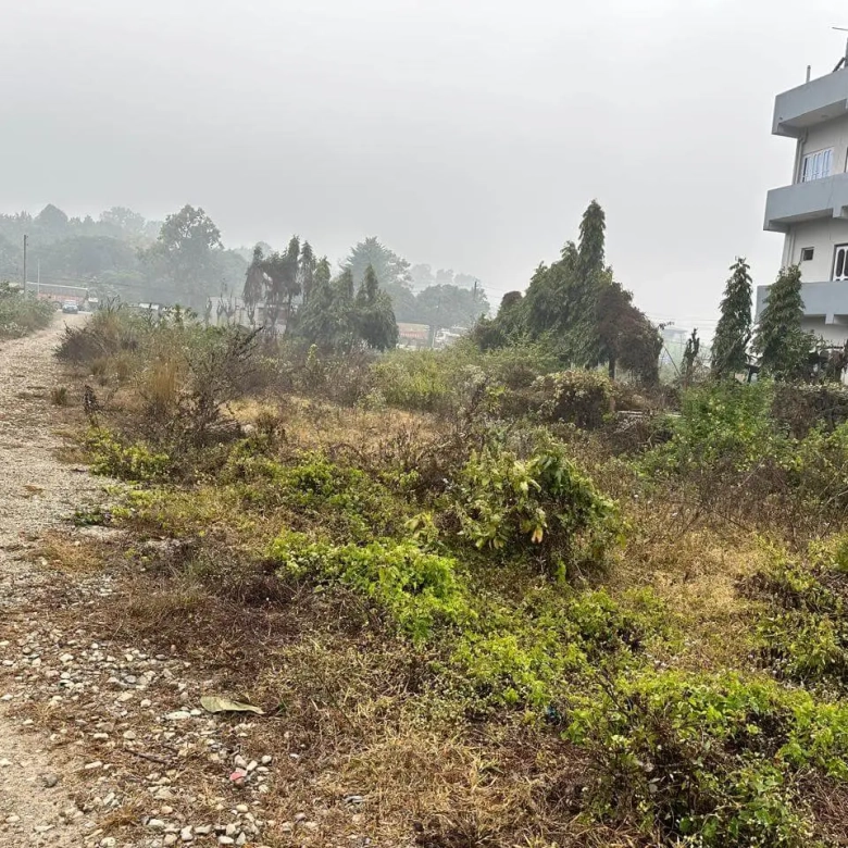 Land for Sale in Ramnagar Chitwan Attached to Highway