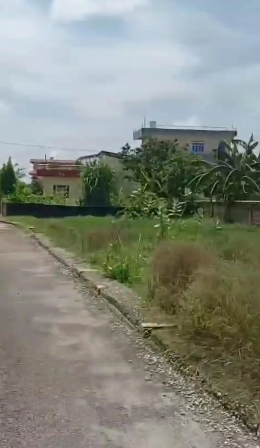 Land for Sale in Bhasi Bhimdatta 03
