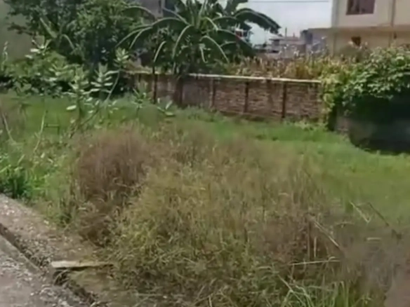 Land for Sale in Bhasi Bhimdatta 03