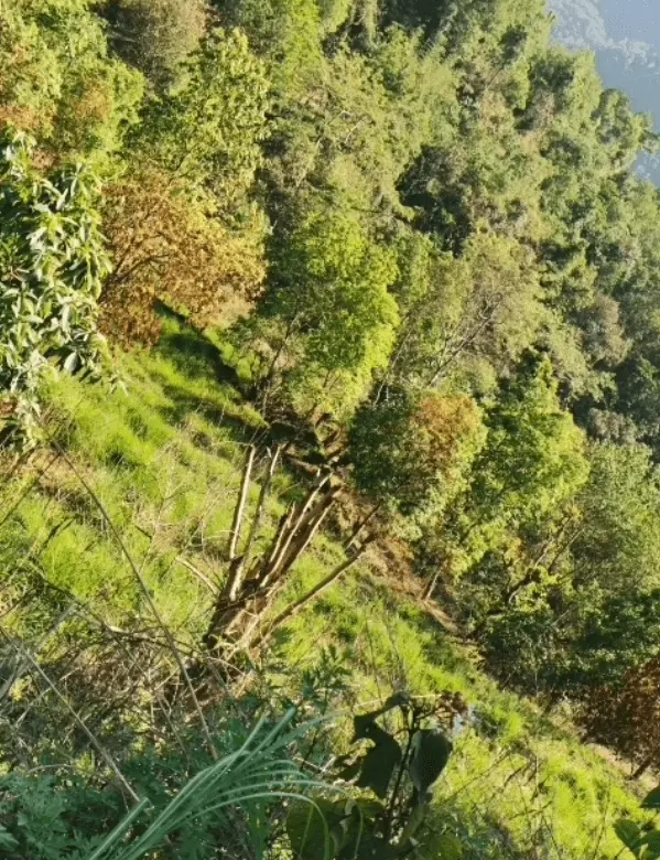 Land for Sale in Shukla Gandaki Thakrep Tanahaun