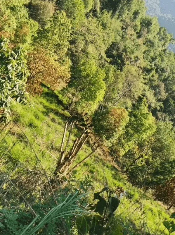 Land for Sale in Shukla Gandaki Thakrep Tanahaun