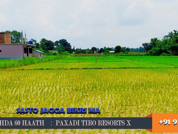 Sasto Jagga at Kawasoti Pithauli