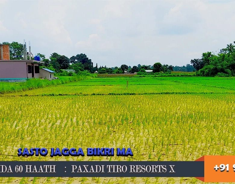 Sasto Jagga at Kawasoti Pithauli जग्गा को नाज़िक रिसोर्ट र रेस्टोरेंट्स I