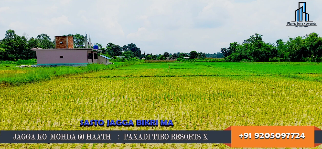Sasto Jagga at Kawasoti Pithauli