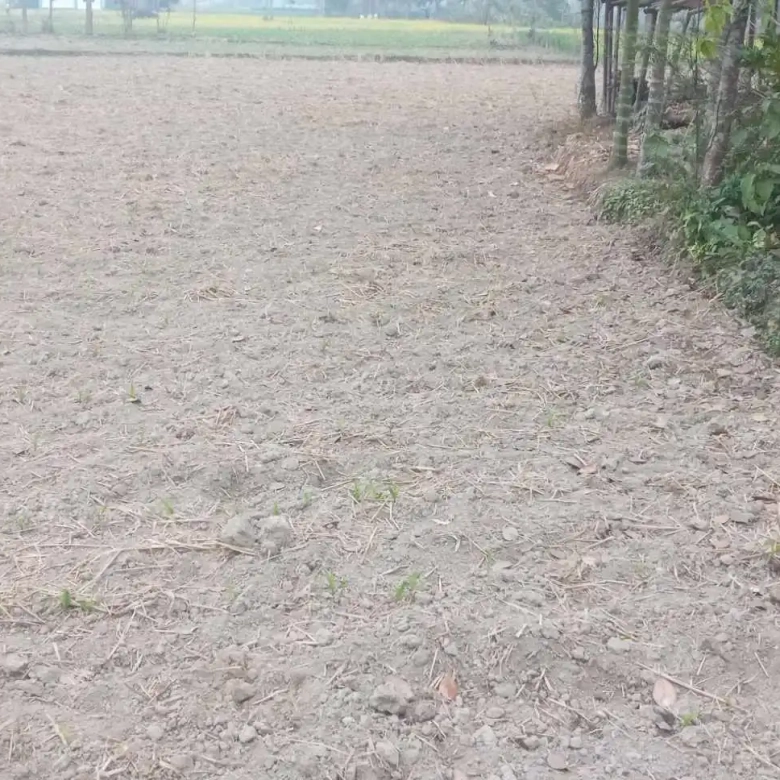 Land for Sale in Jhapa Shambhu Chowk