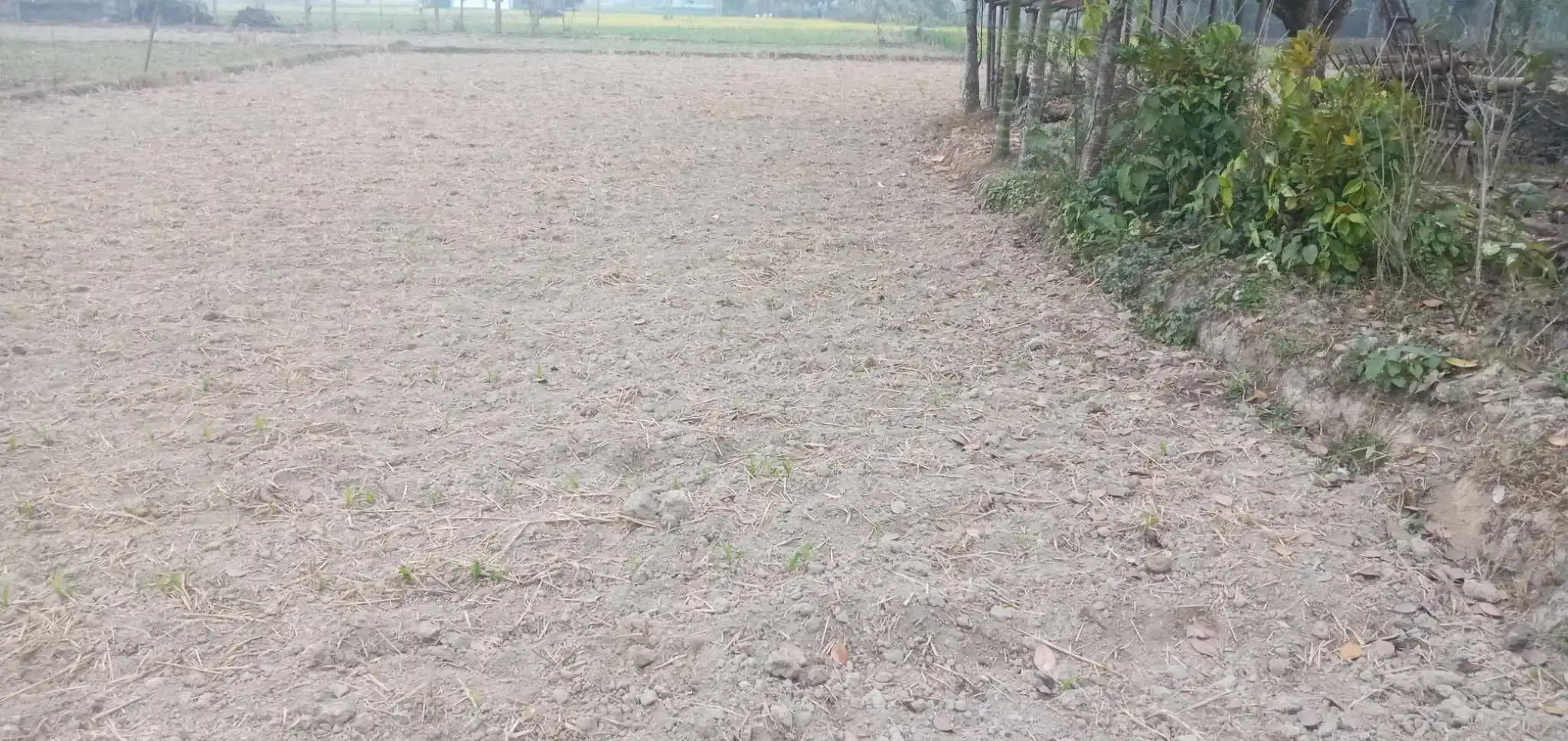 Land for Sale in Jhapa Shambhu Chowk