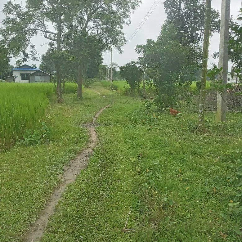 Land for Sale in Jhapa Shambhu Chowk