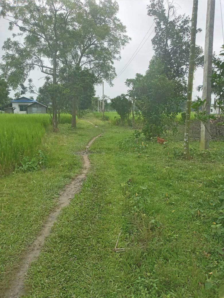 Land for Sale in Jhapa Shambhu Chowk