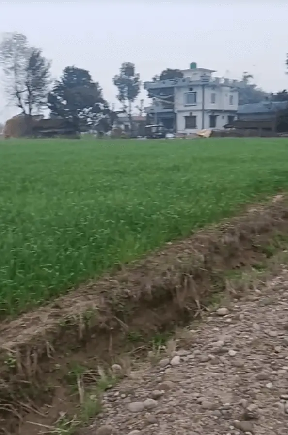 Land for sale in Jugeda Dhangadhi