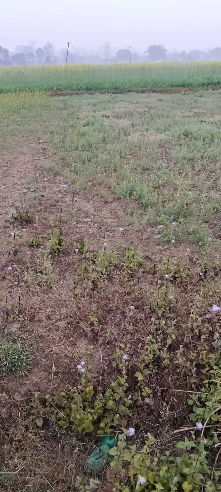 Land for sale in Jugeda Dhangadhi