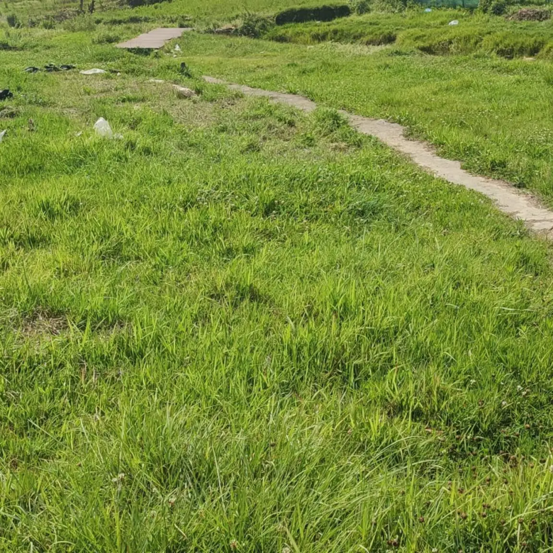 Residential Land for sale in Lele Lalitpur