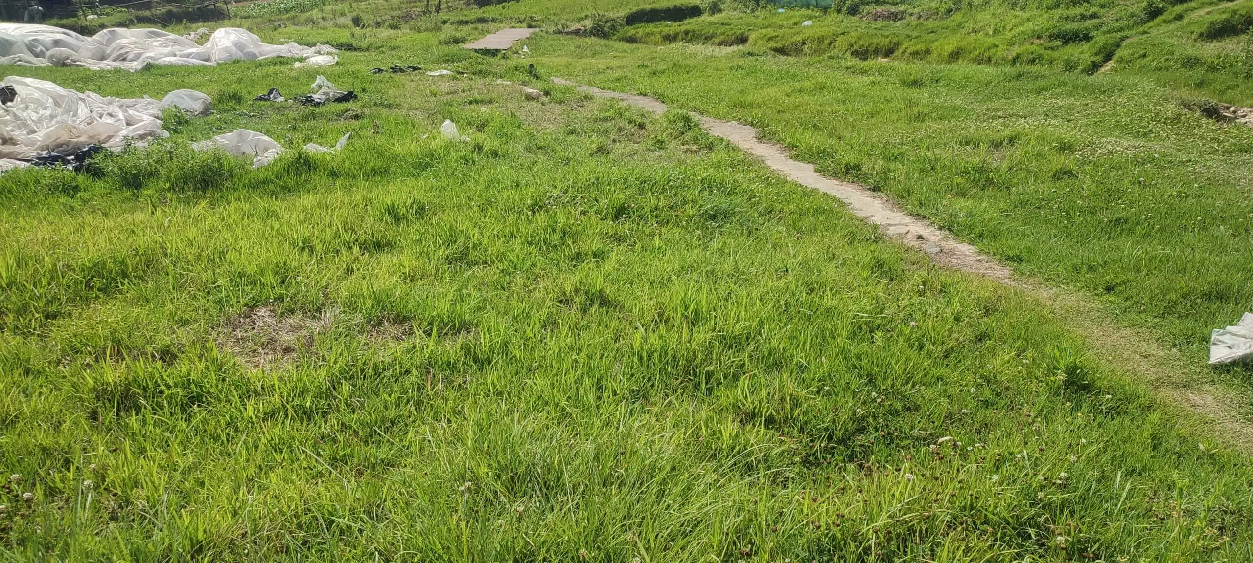 Residential Land for sale in Lele Lalitpur