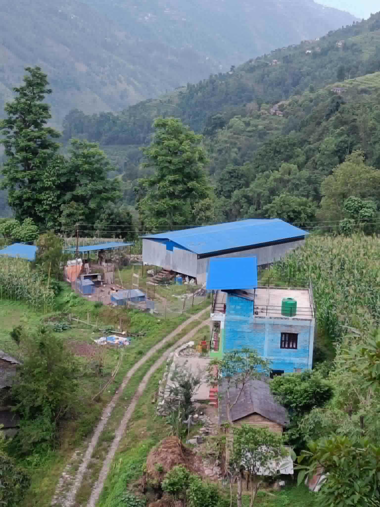 100 Ropani Agricultural Land for Sale in Baglung
