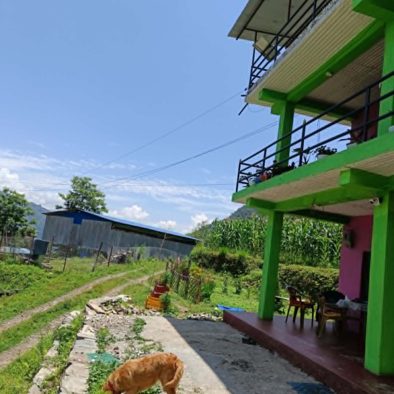 100 Ropani Agricultural Land for Sale in Baglung