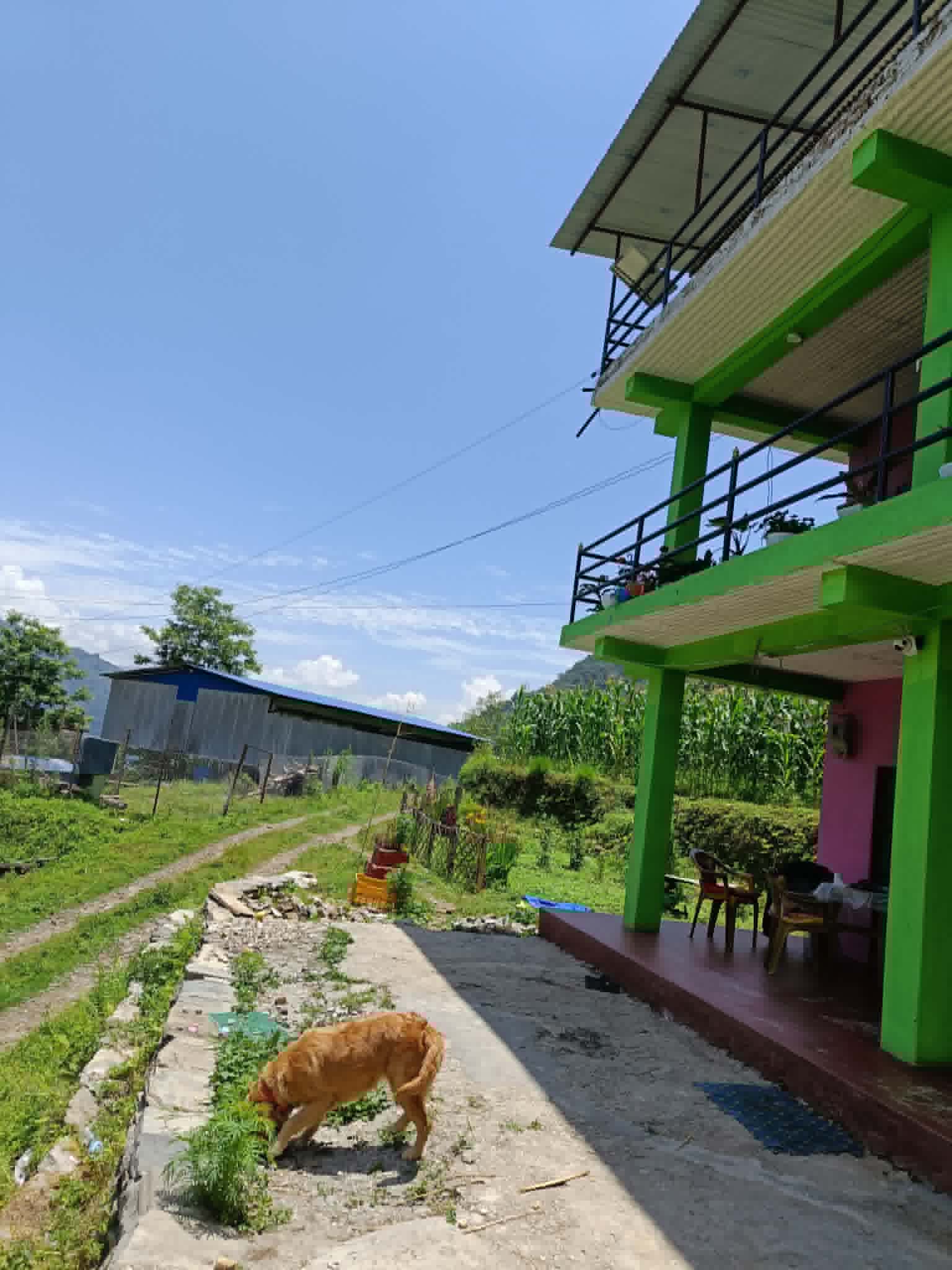100 Ropani Agricultural Land for Sale in Baglung