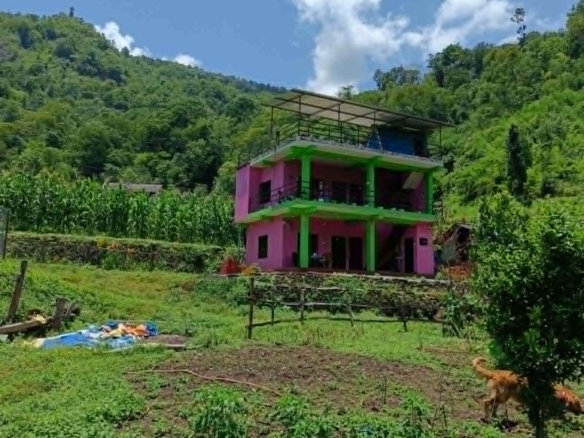 100 Ropani Agricultural Land for Sale in Baglung