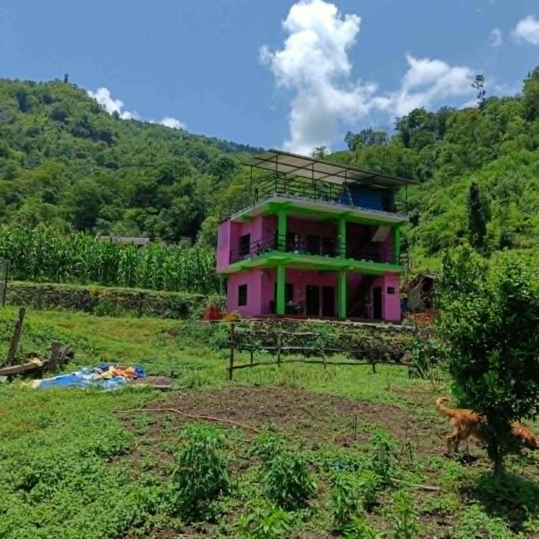100 Ropani Agricultural Land for Sale in Baglung
