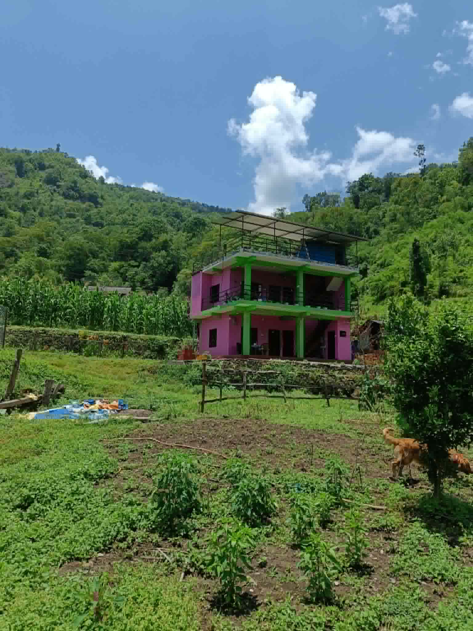 100 Ropani Agricultural Land for Sale in Baglung